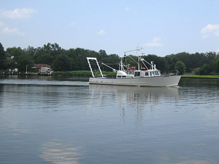 Crevettier entre mer et Bayou