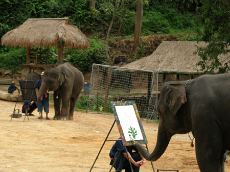 Pachydermes artistes