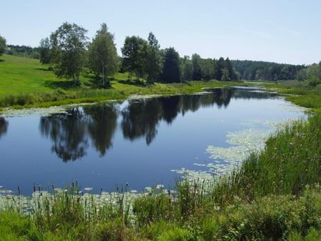 Reflets