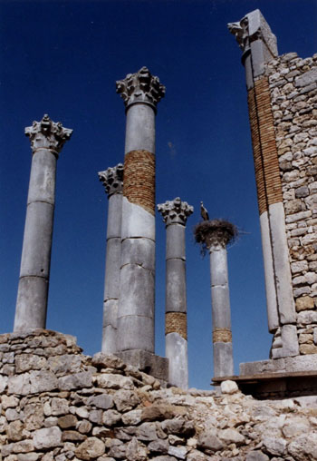 Colonnes romaines en ruines à Volubilis