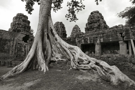 Angkor