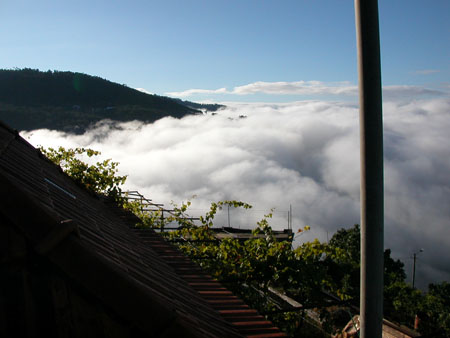 Brume du matin