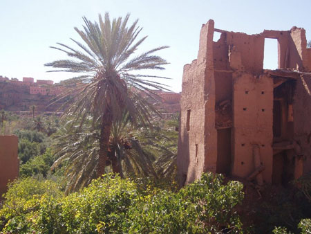 Palmeraie d'Aitsnane