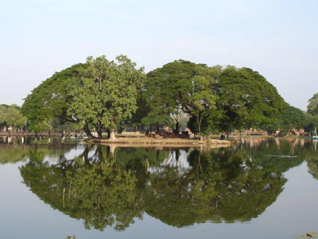 Reflet dans le lac