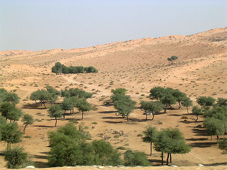 Désert de Dubai