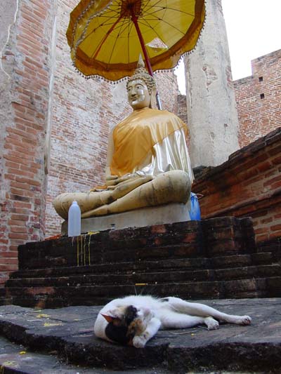 Temple Ayuttaya