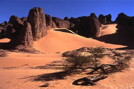 Tassilis du hoggar