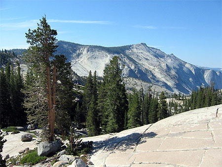 Yosemite National Park