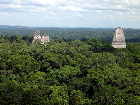 Les temples de Tikal