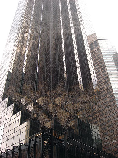 Arbres sur building