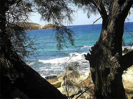 Point de vue