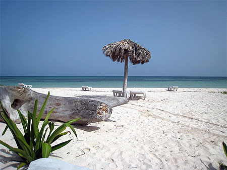 Cayo Jutias