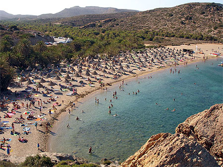 Plage aux mille et un palmiers