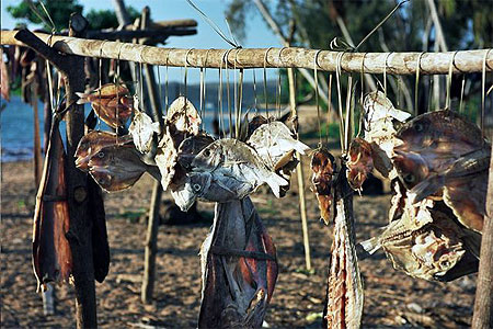 Poissons séchés