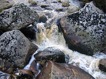 Torrent