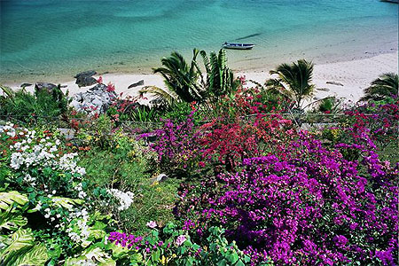 Jardin d'eden à Nosy-Komba