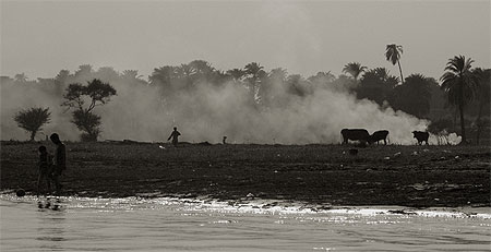 Au bord du nil