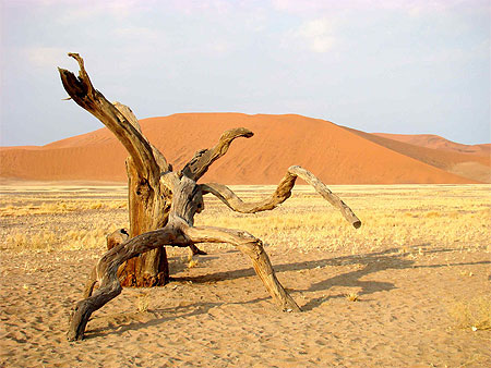 Sossusvlei