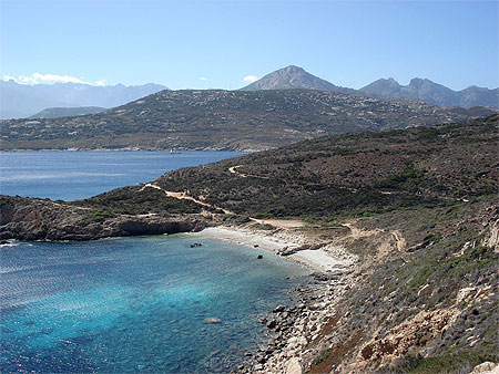 Calvi