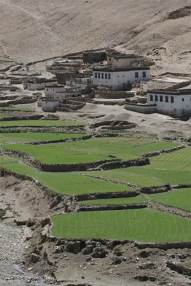 Village tibétain