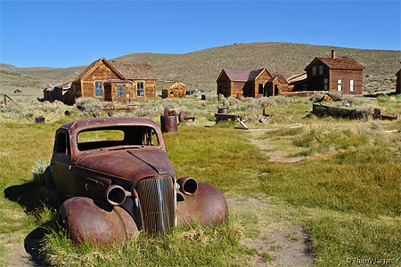 Bodie