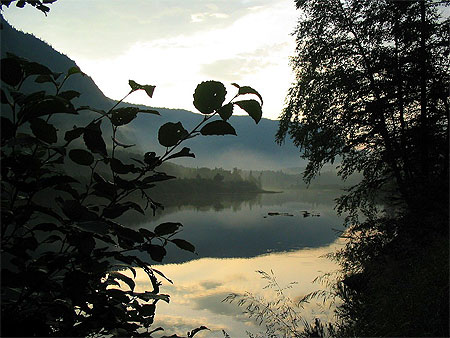 Brume du matin