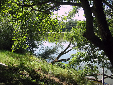 Petite promenade au bord de l'eau à Myennes