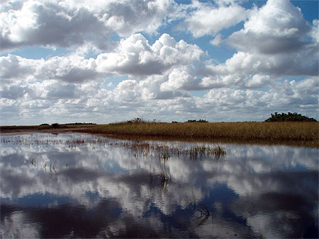 Everglades