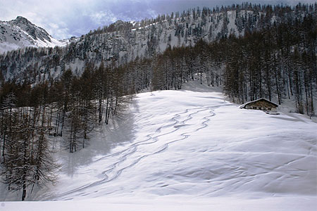 Paysage alpin