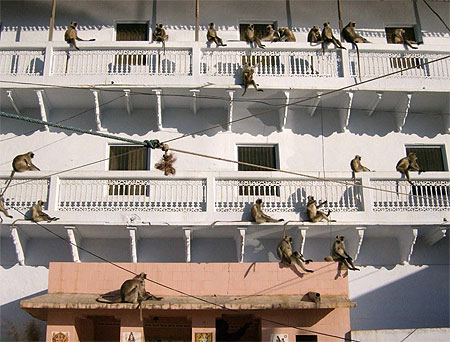 Pushkar