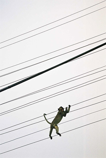 Equilibriste