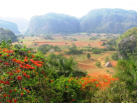Paysage région de Viñales