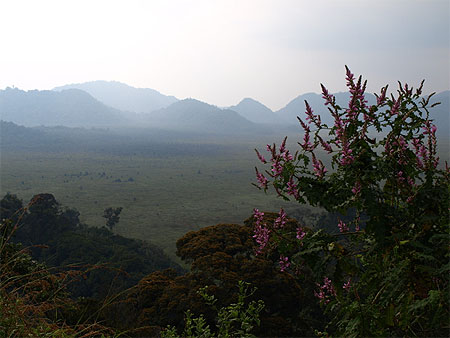 Vue sur les marais de Kaminranzovu