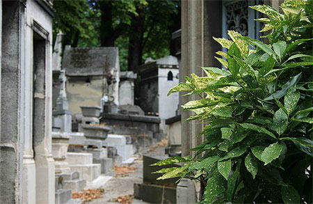 Vue du cimetière