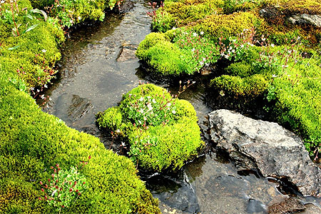 Ruisseau