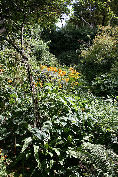 Le jardin alpin
