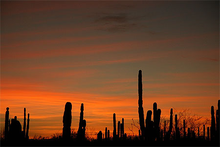 Baja California