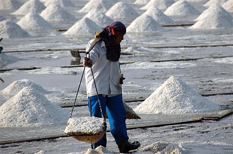 Marais salants