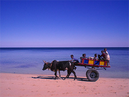 Transport scolaire
