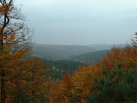 Automne