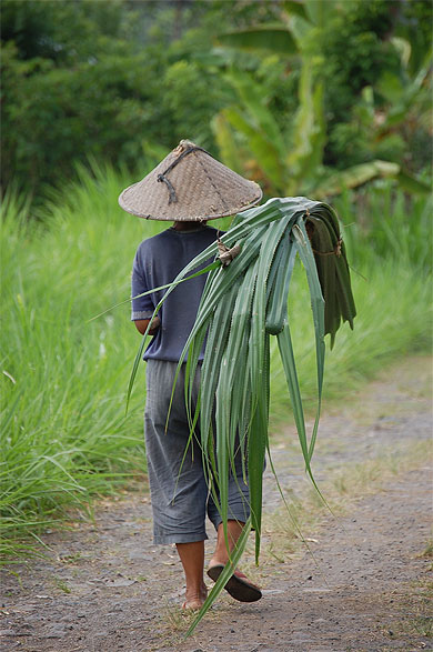 Bali ...en route