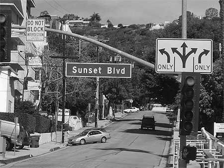Hollywood Boulevard on Hollywood Boulevard    Hollywood    Los Angeles    Routard Com