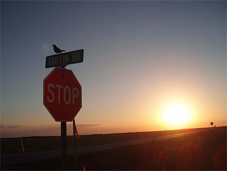 Coucher de soleil à Clewiston