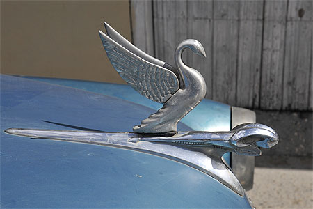 Le cygne