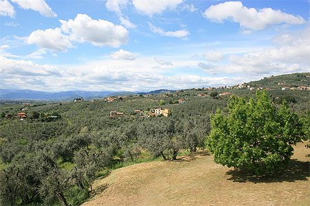 Beau paysage toscan