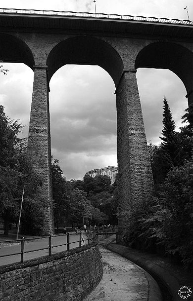 Un après-midi d'été au parc...
