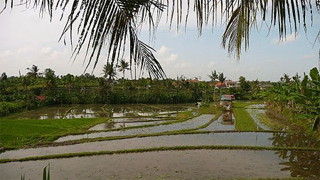 On the road to Tanah Lot