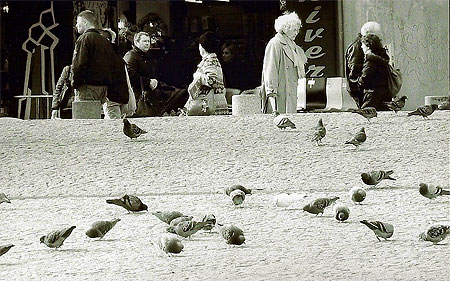 Paris, passants, pigeons