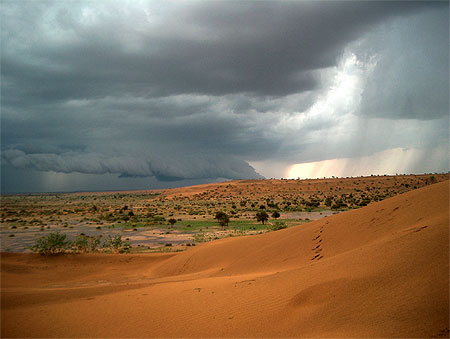 Désert du Rajasthan