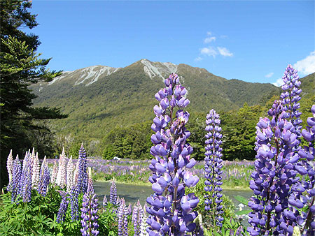Jardin en montagne